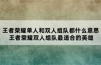 王者荣耀单人和双人组队都什么意思 王者荣耀双人组队最适合的英雄